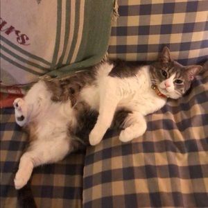 Meet your Posher, Ruby